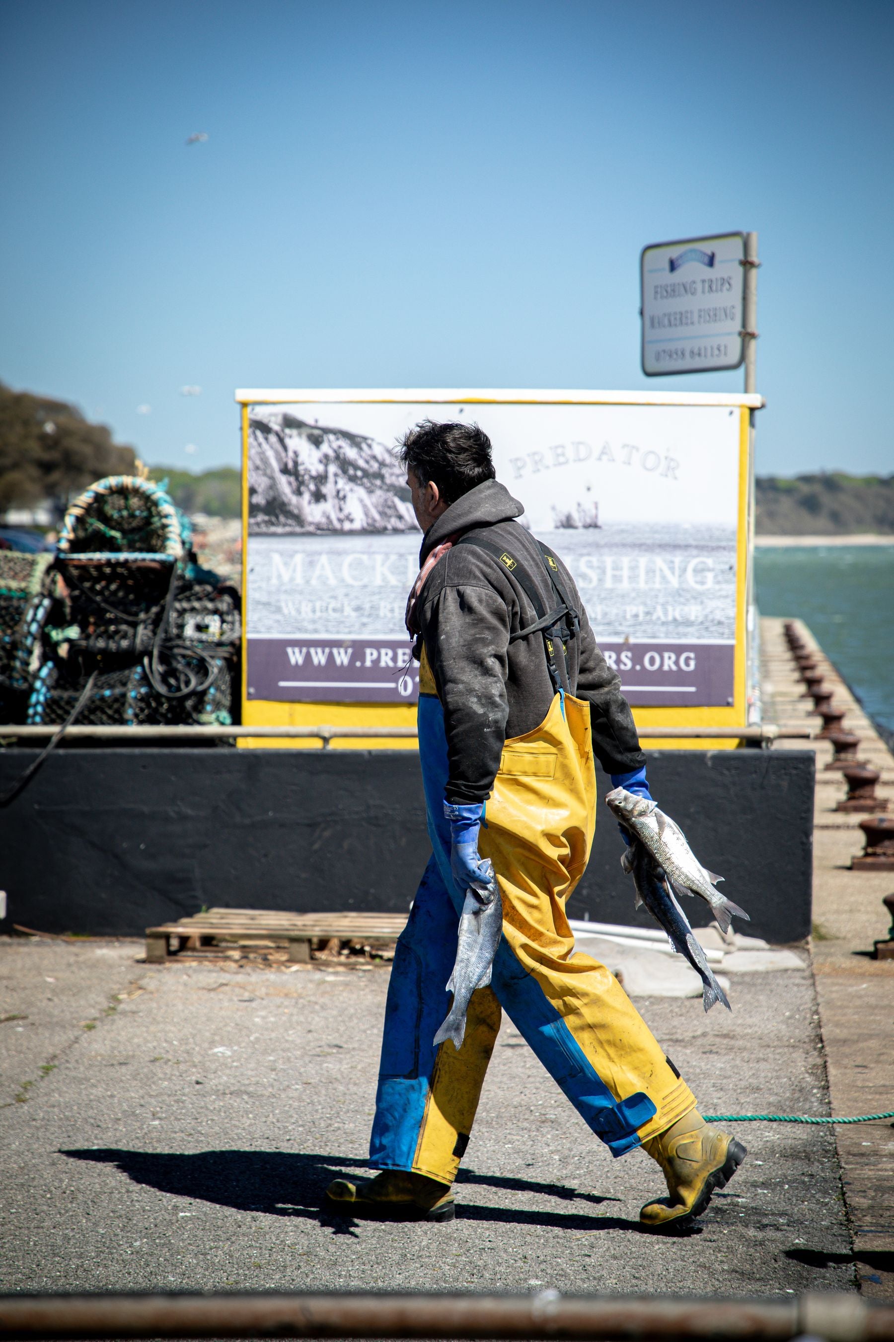Working fisherman at a harbor